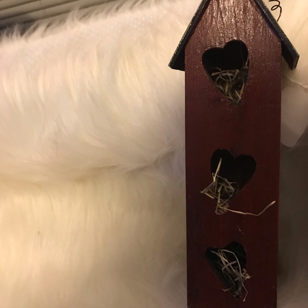 Primitive bundle - Picture 4 of 4